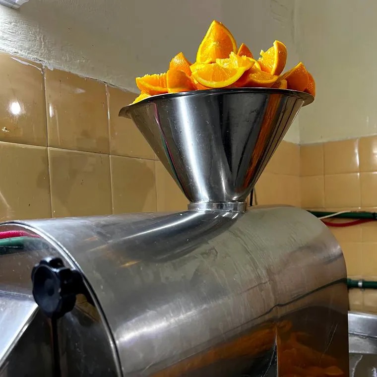 Fruta cortada entrando a la prensa